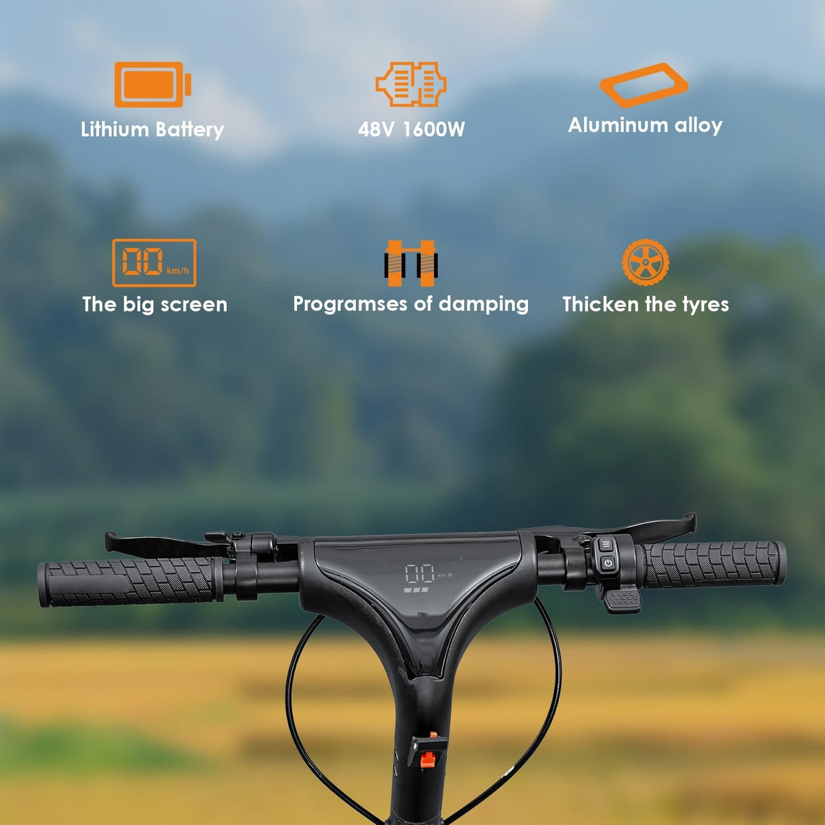 1600W Dual Motor Electric Scooter 48V-F5