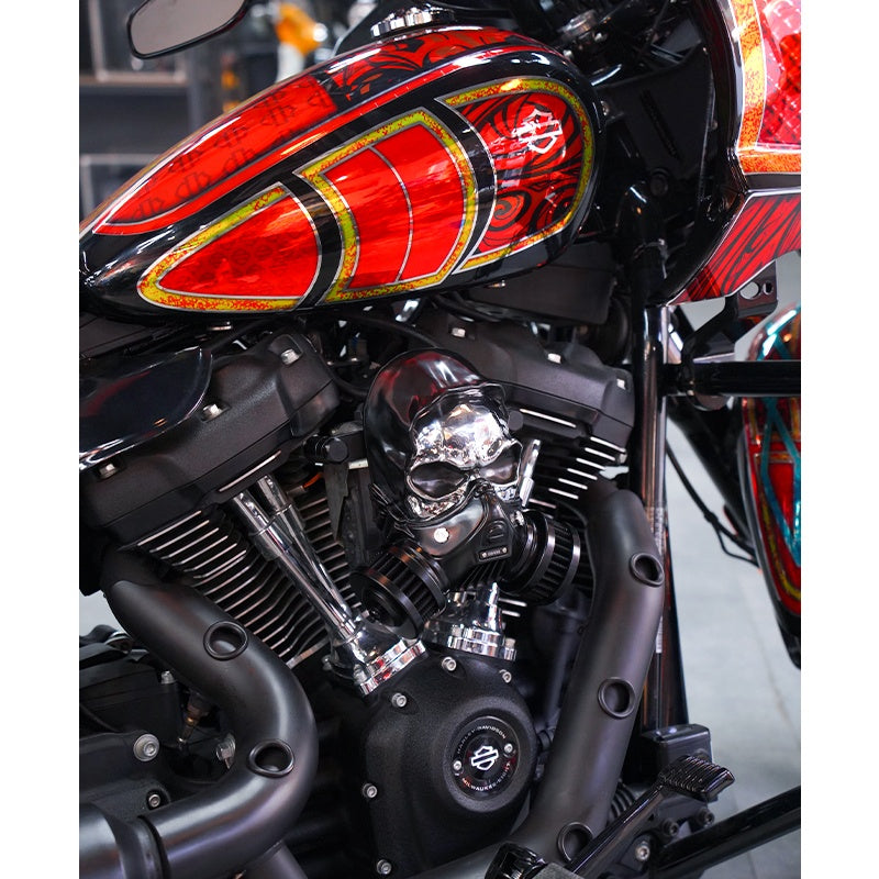 HD 2018-Later Softail 2017-Later Touring aluminum-magnesium alloy skeleton filter intake filter